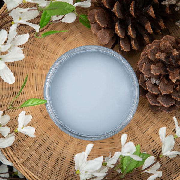 dixie-belle-paint-dusty-blue-chalk-mineral-paint__15907