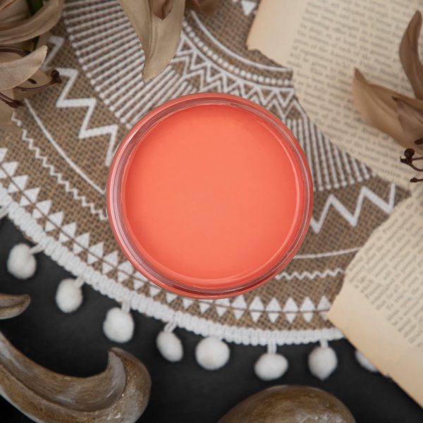 dixie-belle-paint-flamingo-chalk-mineral-paint__01244