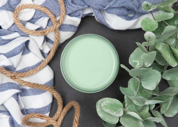 Mint Julep | Dixie Belle Chalk Mineral Paint