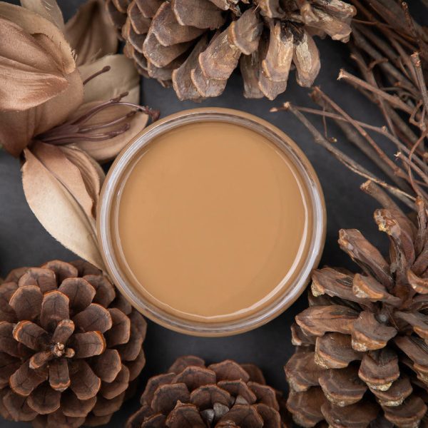 Pine Cone | Dixie Belle Chalk Mineral Paint