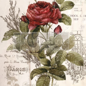 Botanical Rose | Redesign With Prima Decor Transfer