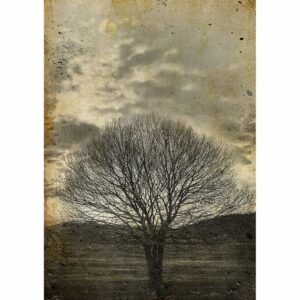 Sepia Tree | Mint By Michelle Decoupage Paper