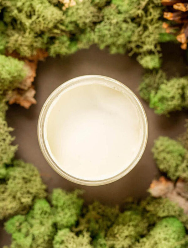 cucumber-ice-cmp-70485-dixie-belle-paint-company