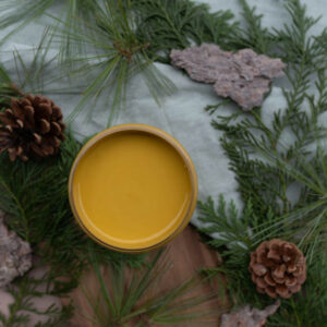 Yellowstone Silk All-In-One Mineral Paint | Dixie Belle Paint Company