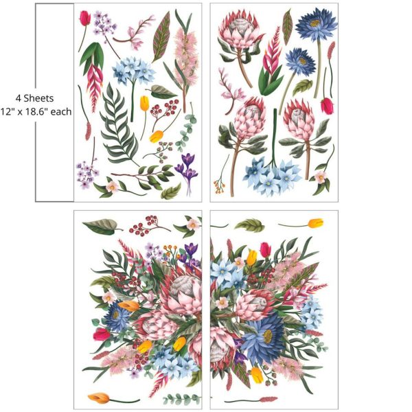 King Protea | Belles And Whistles Decor Transfer