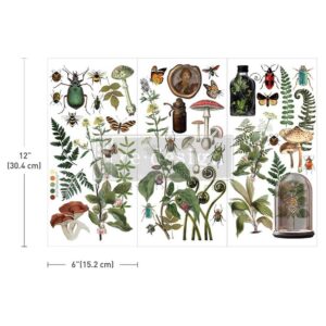 small-transfer-transfer, transfers-décor-transfer- wall-transfer-furniture-transfer-redesign-transfer-wall- décor-DIY-transfer- crafts-rub-on-transfers- for-crafts-design- transfer-transfers-for-furniture-transfer-com-transfer com-direct-to- fabric-transfers-rub-on-wall-transfers-garden- rub-on-transfers-insect- transfer-designs- mushroom-rub-on decals-butterfly-transfer- stickers-foliage-rub-on decorations-cloche-design-transfers-nature-themed-rub-ons-garden decal-transfers-botanical-rub-on designs-insect-themed transfers-mushroom- stickers-for-crafts-rub-on-garden-designs- butterfly-rub-on-decals- plant-transfer-designs- rub-on -transfers-for craft- garden-decor- transfers-nature-theme rub-on-decals-rub-on- stickers-for-scrapbooking-insect- and-butterfly-transfers-creative-garden-themed transfers-rub-on-foliage design-flower-and- insect-transfers- mushroom-themed-craft-transfers-rub-on- decals-or-journaling,-nature-inspired-transfer-stickers-rub-on-cloche-designs-rub-on plant motifs, crafting with rub-on transfers, botanical theme transfers, collage chronicles transfer, wax seal transfer, botanical transfer-botanical archives-transfer