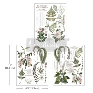 middy, transfer, transfers, décor transfer, wall transfer, furniture transfer, redesign transfer, wall décor, DIY, transfer crafts, rub on transfers for crafts, design transfer, transfers for furniture, transfer.com, transfer com, direct to fabric transfers, rub on wall transfers, green foliage transfers, French wording transfers, decorative rub-on transfers, botanical rub-on designs, nature-themed transfers, French design transfers, transfer art designs, DIY home decor transfers, wall art rub-ons, craft transfer designs, rub-on art for walls, green leaf transfers, floral rub-on transfers, botanical wall decals, French script transfers, greenery transfer designs, decor transfers for furniture, artistic rub-on designs, home decor transfer stickers, scrapbooking rub-ons, transfer designs with foliage, French themed rub-ons, transfer sheets for decor, easy apply rub-ons, nature inspired transfers, elegant rub-on decals, DIY decor transfers, transfers with French text, vintage rub-on designs, greenery grace transfer