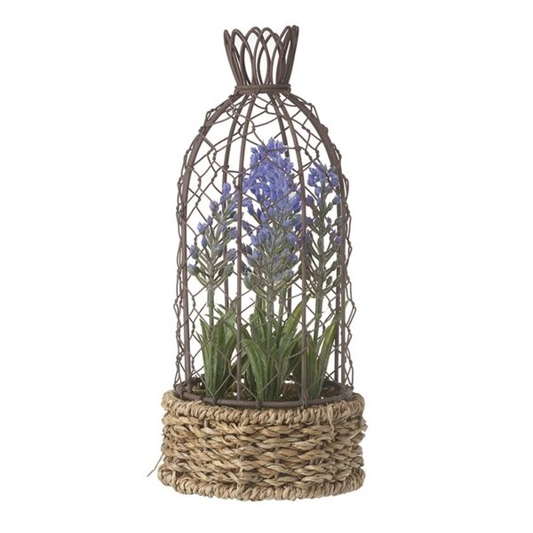 lavender-pot-in-wire-bircage