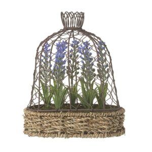 Large-Lavender-Pot-in-bird-cage