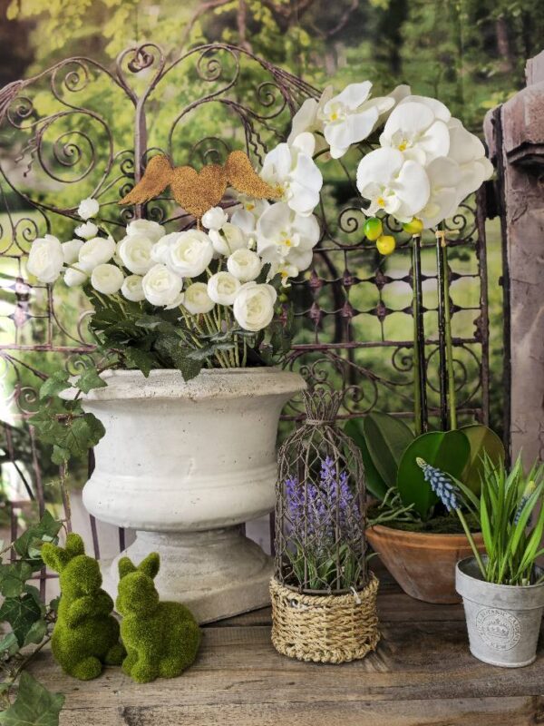 White Phalaenopsis Orchid in Terracotta Pot - Image 5