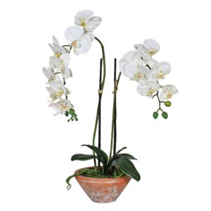 faux-plalaenopsis-orchid