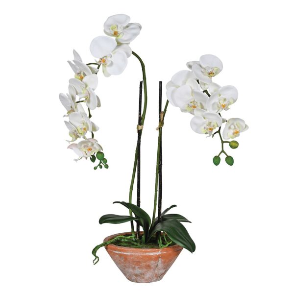 faux-plalaenopsis-orchid