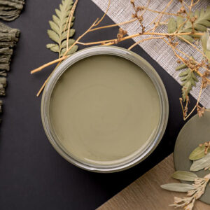 Thicket-Chalk-Mineral-Paint