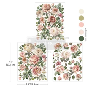 middy-decor-transfer