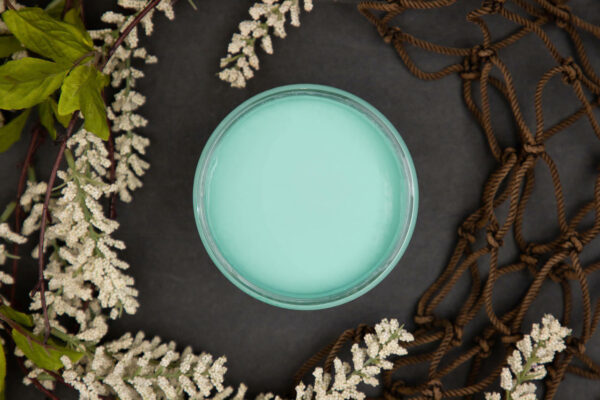 dixie-belle-paint-the-gulf-chalk-mineral-paint