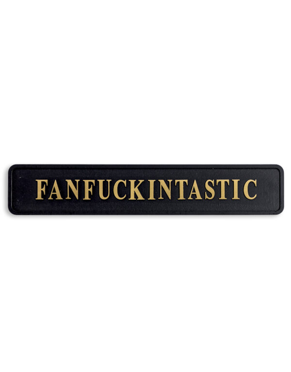 fanfuckingtastic-wall-plaque-humerous-wall-plaque