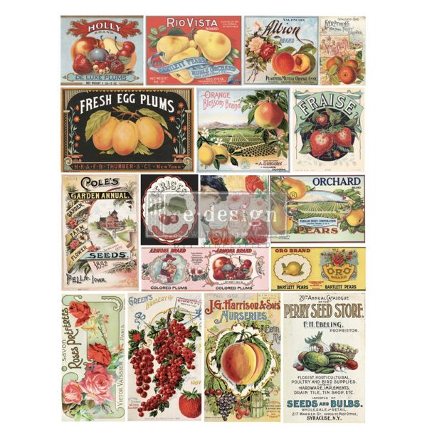 Vintage Seed | Redesign With Prima Decor Transfer