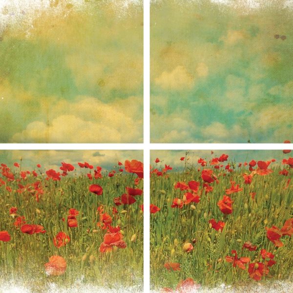 Fields Of Flowers | Belles And Whistles Decor Transfer