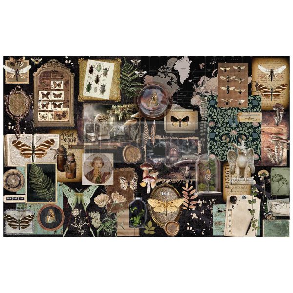 Herbarium Notes | Redesign With Prima Decoupage Tissue Paper