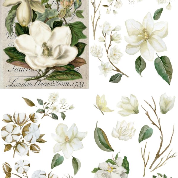Magnolia Garden | Belles & Whistles Decor Transfer