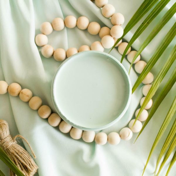 Tide Pool | Dixie Belle Silk Mineral Paint