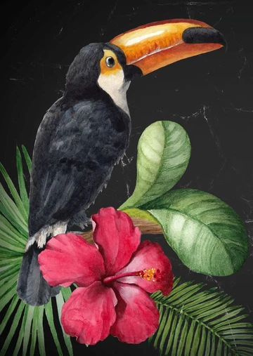Tucan | Mint By Michelle Decoupage Paper
