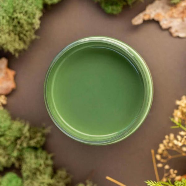 English Ivy | Dixie Belle Paint Company Cottage Collection