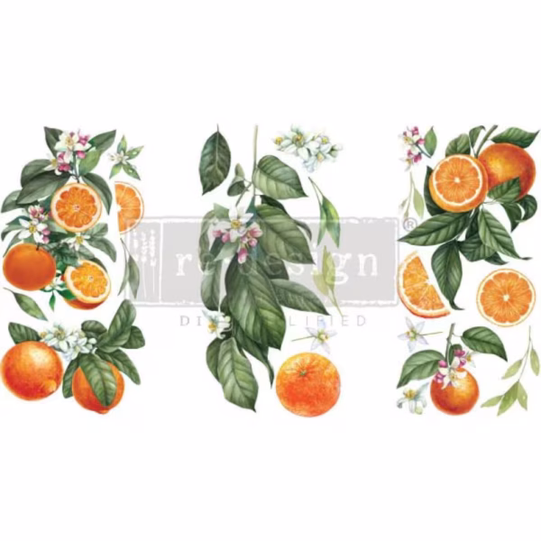 Citrus Slice | Redesign With Prima Small Decor Transfer